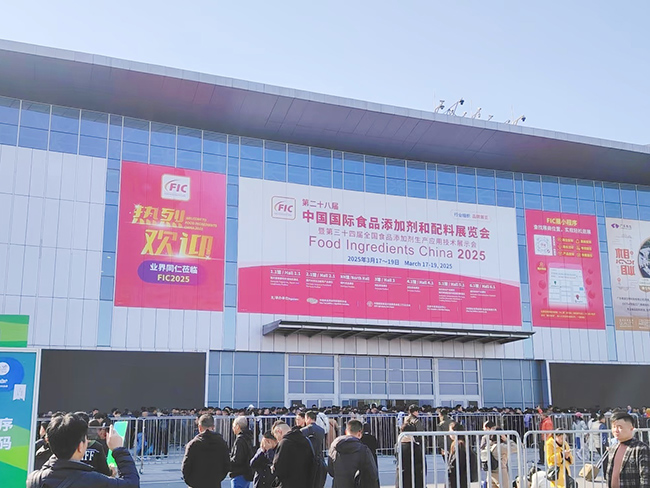 Seasoning Food Processing Machine New Trend