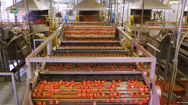 tomato sauce production tomato sauce production