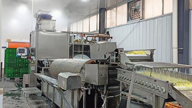 washing and peeling machine