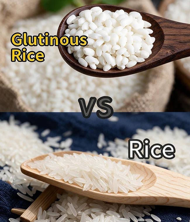 rice vs glutinous rice